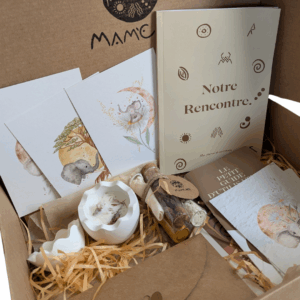 Box Naissance