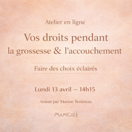 Atelier en ligne - Vos droits pendant la grossesse & l'accouchement